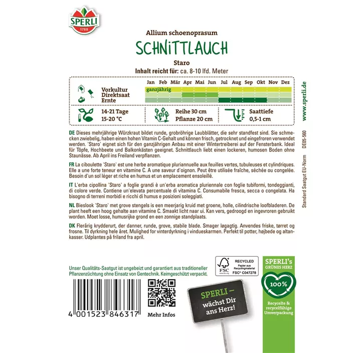 Schnittlauch 'Staro'
