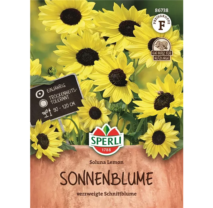 Sonnenblume 'Soluna Lemon'
