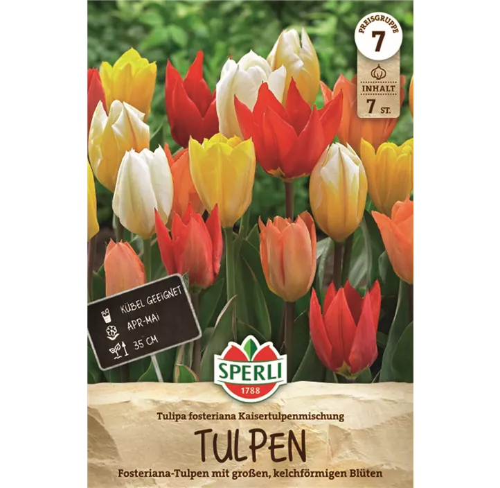 Tulpen Kaisertulpen-Mischung