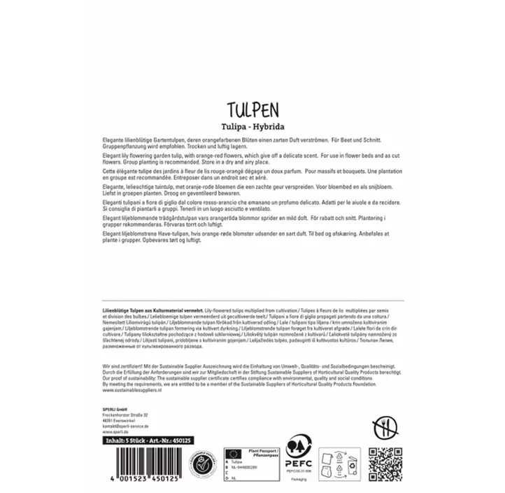 Tulpen Ballerina