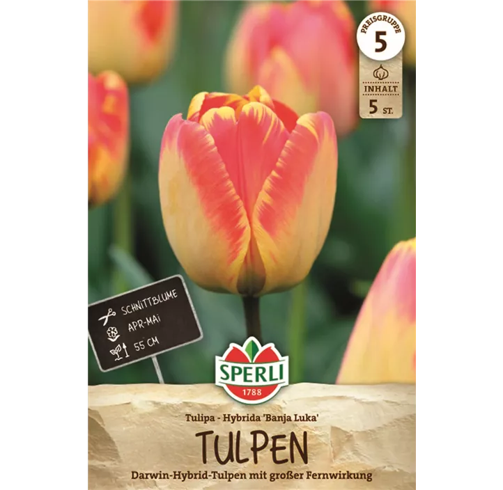 Tulpen Banja Luka