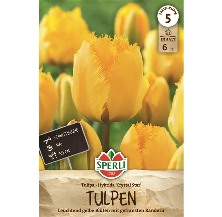 Tulpen Crystal Star
