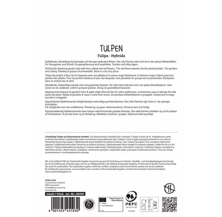 Tulpen Firework