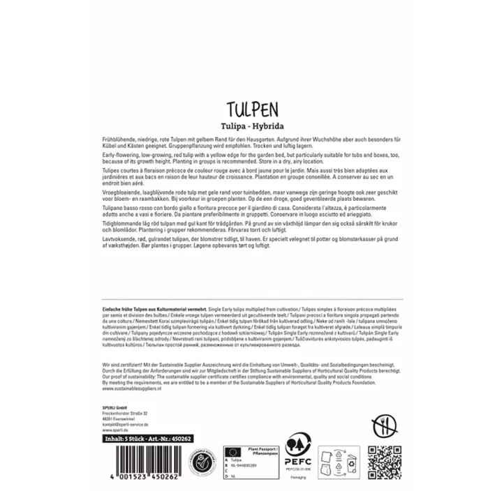 Tulpen Flair