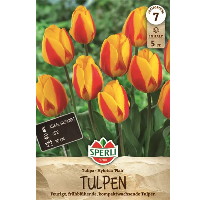 Tulpen Flair