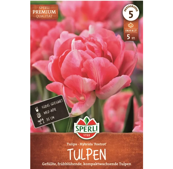Tulpen Foxtrot