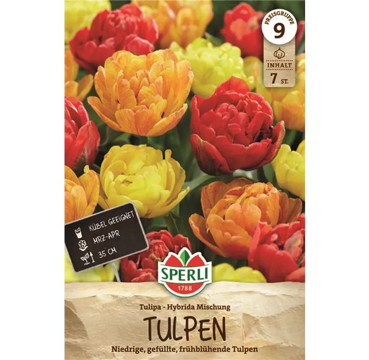 Tulpen Gefüllte Frühe Tulpenmischung