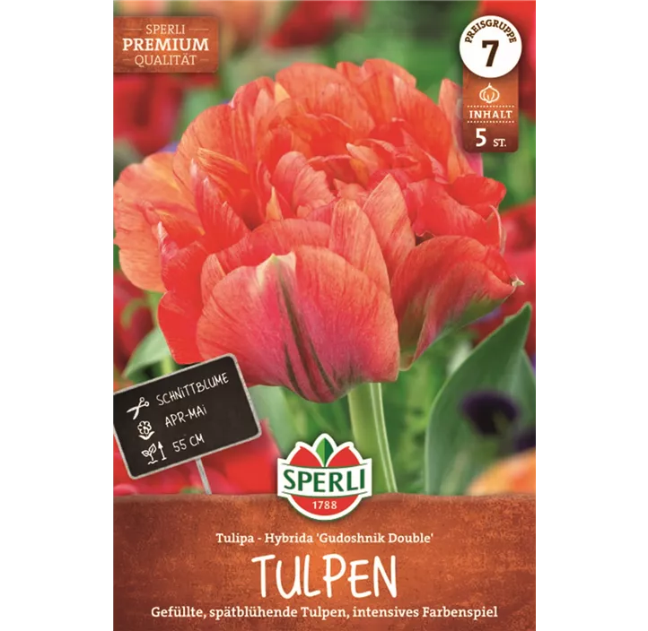 Tulpen Gudoshnik Double