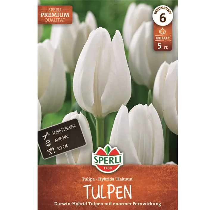 Tulpen Hakuun
