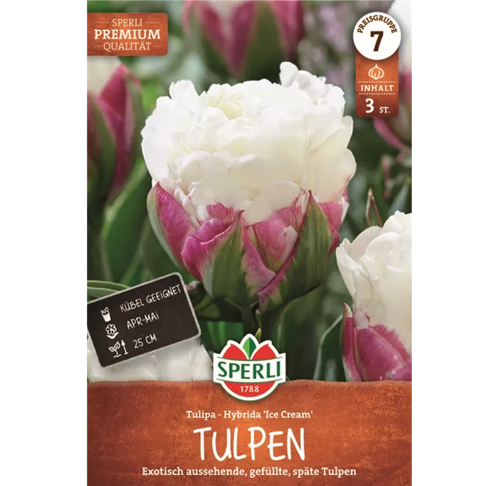 Tulpen Ice Cream