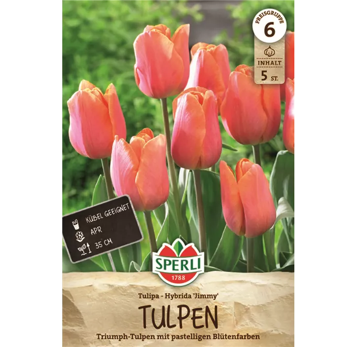 Tulpen Jimmy
