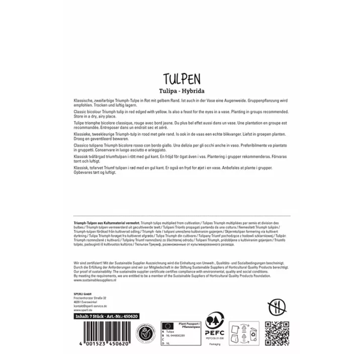 Tulpen Kees Nelis