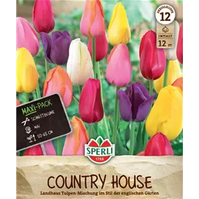 Tulipa hybrids Landhaus Mischung 'Country House'