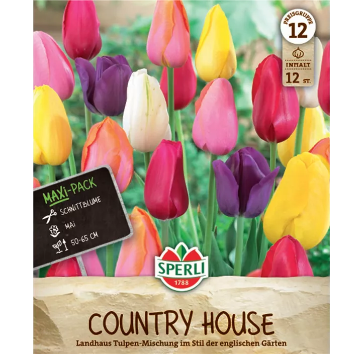 Tulipa hybrids Landhaus Mischung 'Country House'