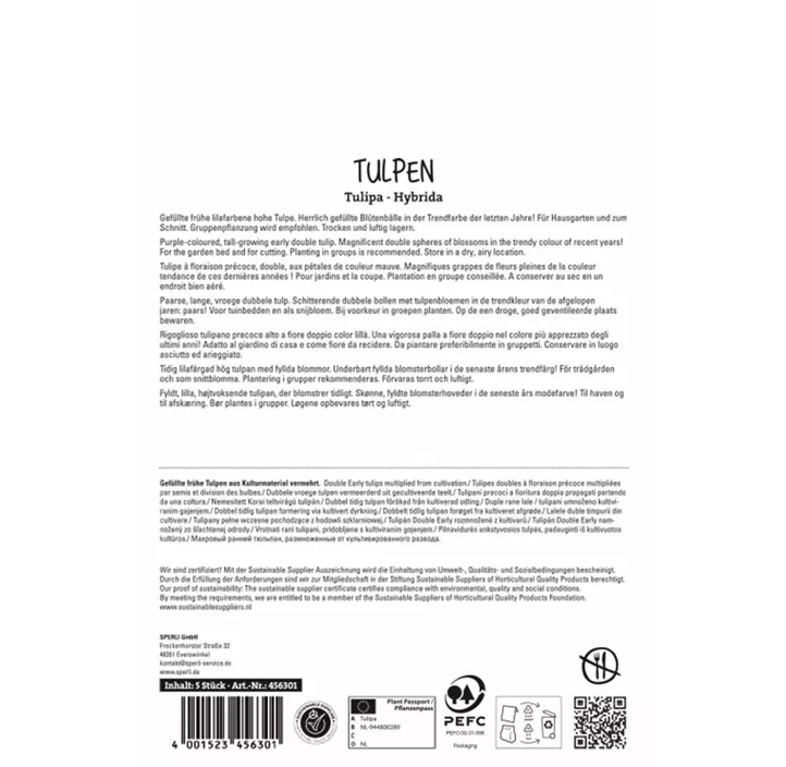 Tulpen Margarita