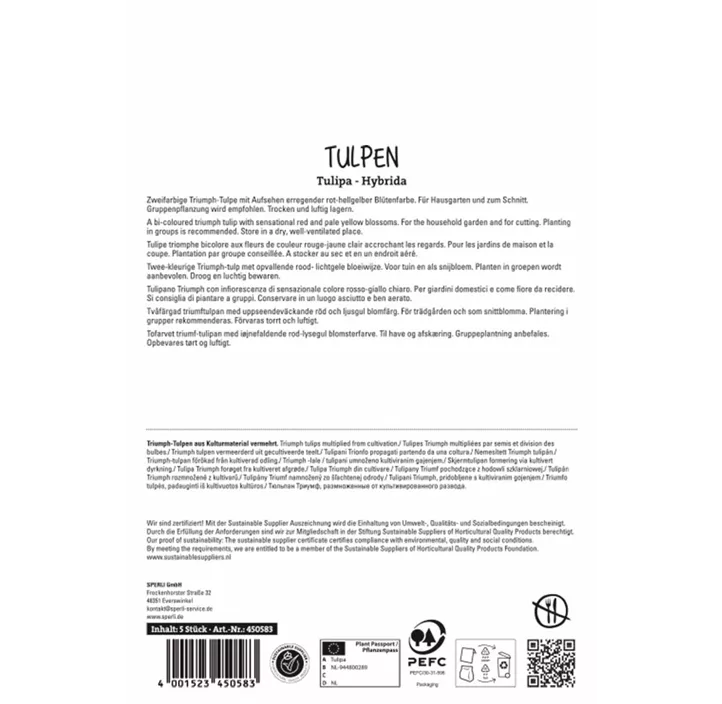 Tulpen Match