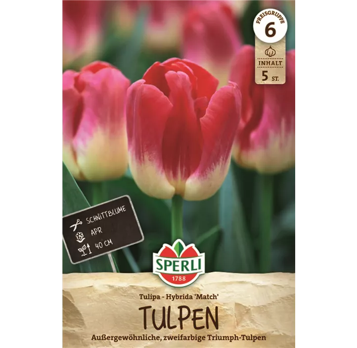 Tulpen Match