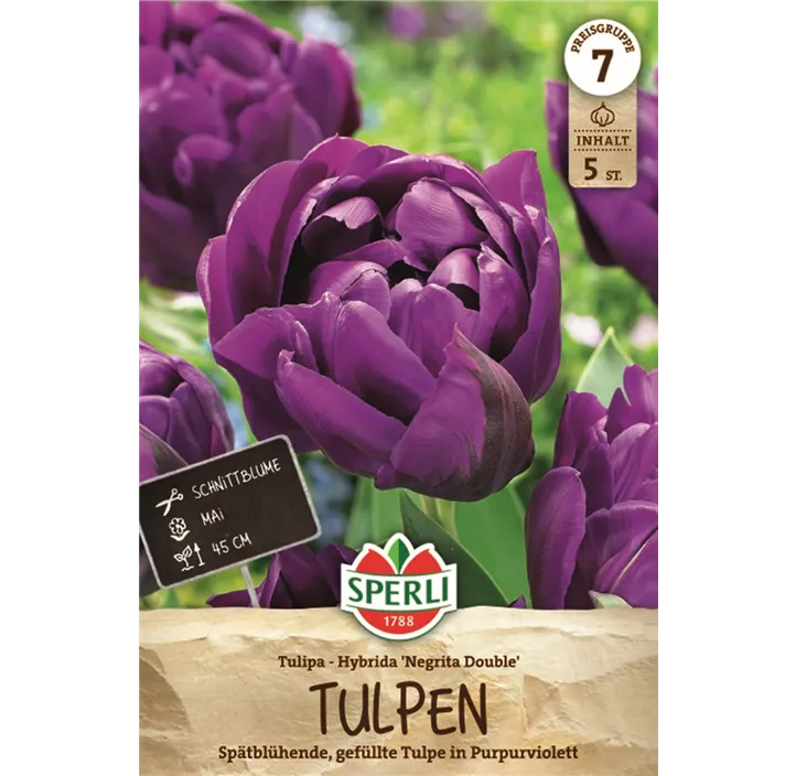 Tulpen Negrita Double