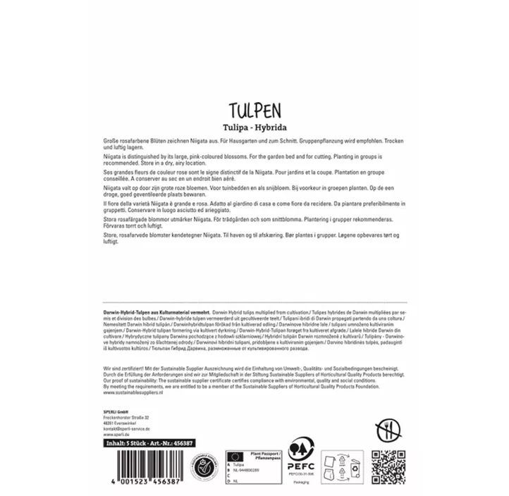 Tulpen Niigata