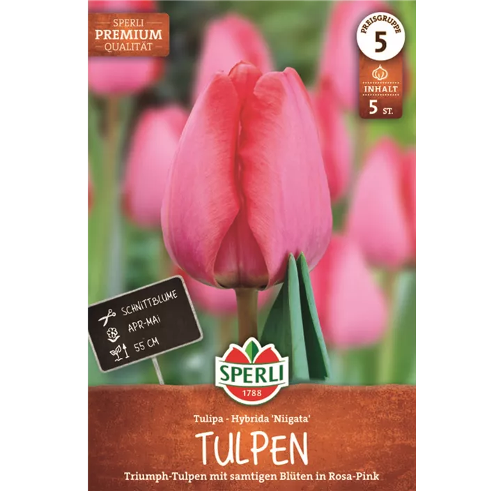 Tulpen Niigata