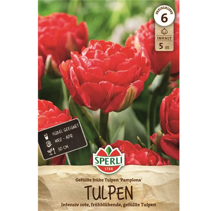 Tulpen Pamplona