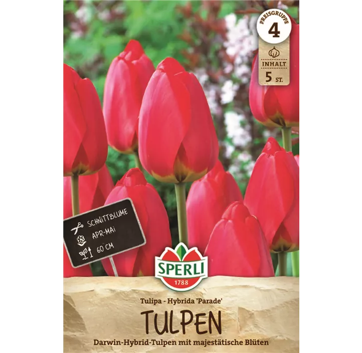 Tulpen Parade