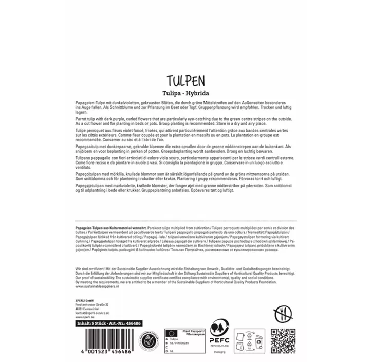 Tulpen Parrot Negrita