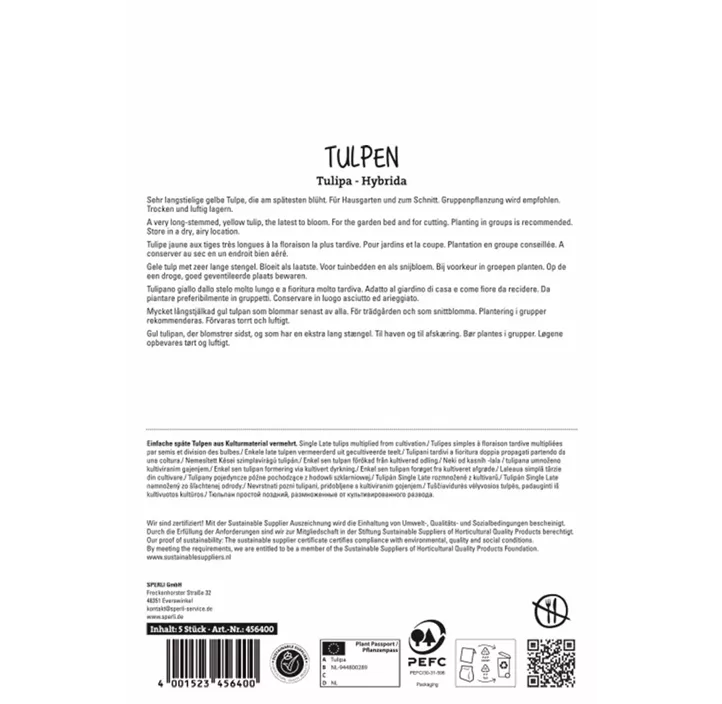 Tulpen Roi du Midi