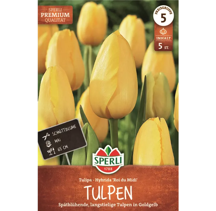 Tulpen Roi du Midi