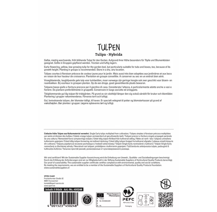 Tulpen Sunny Prince