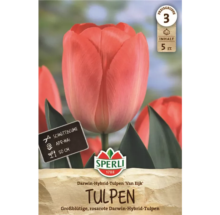 Tulpen Van Eijk