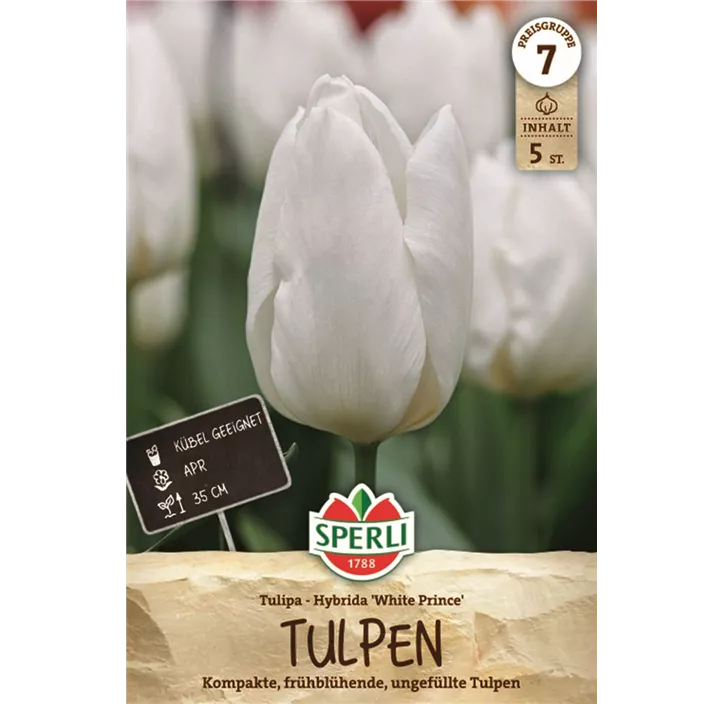 Tulpen White Prince