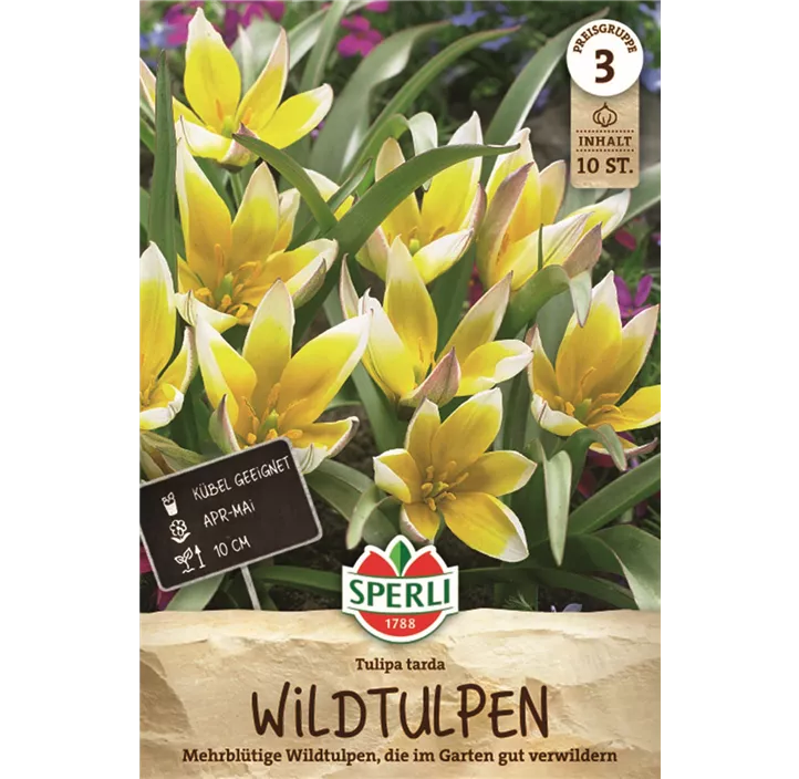 Tulpen Tarda