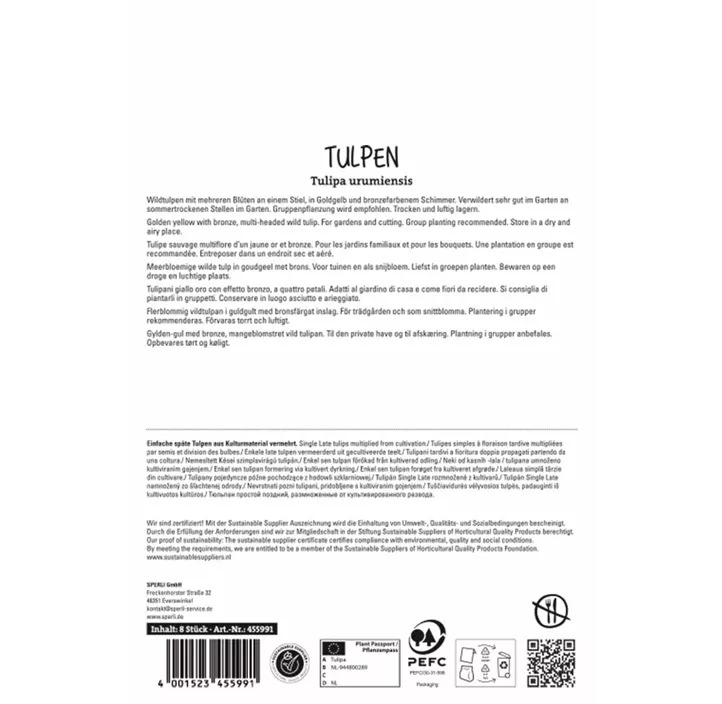 Wildtulpe