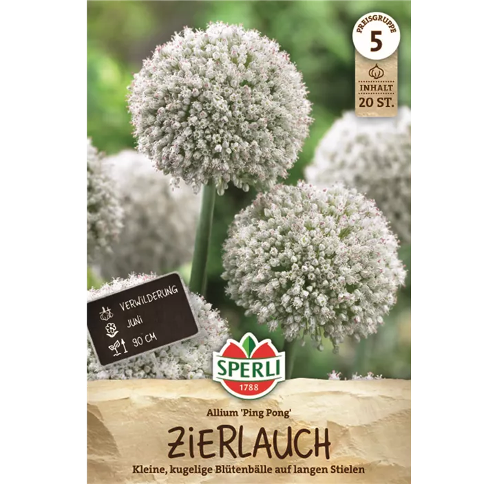 Zierlauch 'Ping Pong'