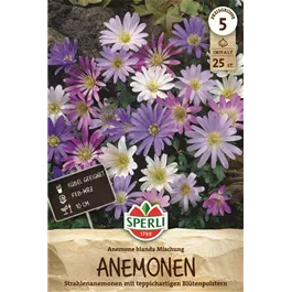 Anemone blanda Mischung