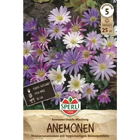 Anemone blanda Mischung