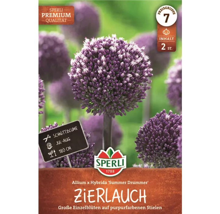 Zierlauch 'Summer Drummer'