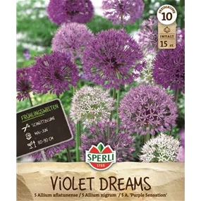 Allium sp. Violet Dreams