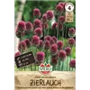 bellaflora Gartencenter GmbH