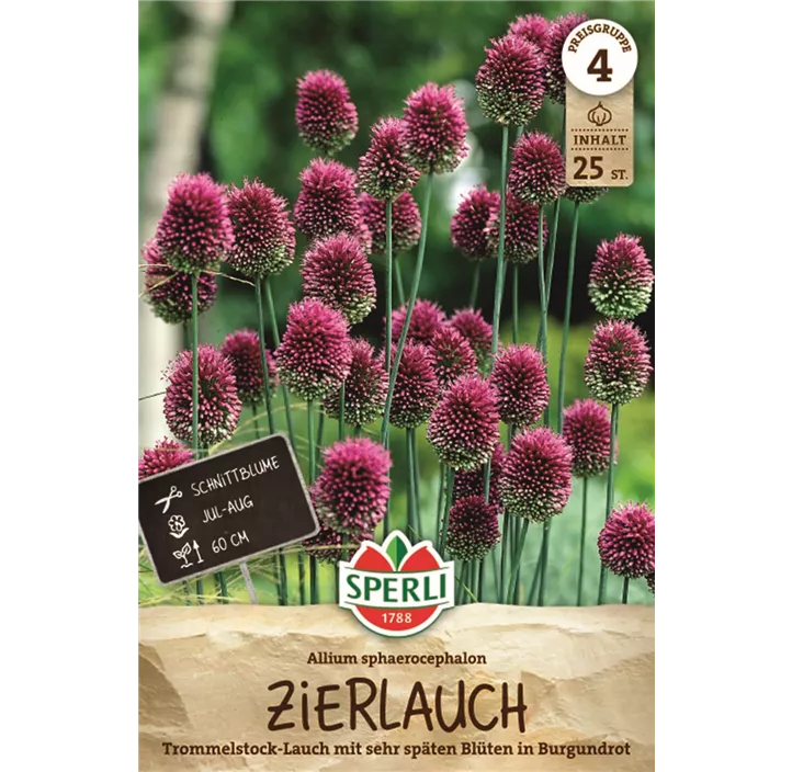 Kugelkopfiger Lauch