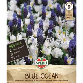 Arten-Mischung Blue Ocean Mischung