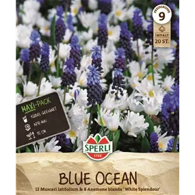 Arten-Mischung Blue Ocean Mischung