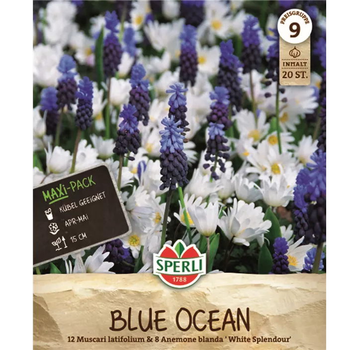 Blumenzwiebel-Mischung Blue Ocean Mischung