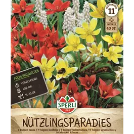 Blumenzwiebel-Mischung Nützlingsparadies