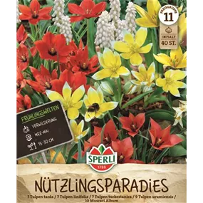 Blumenzwiebel-Mischung Nützlingsparadies