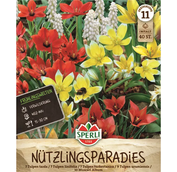 Blumenzwiebel-Mischung Nützlingsparadies
