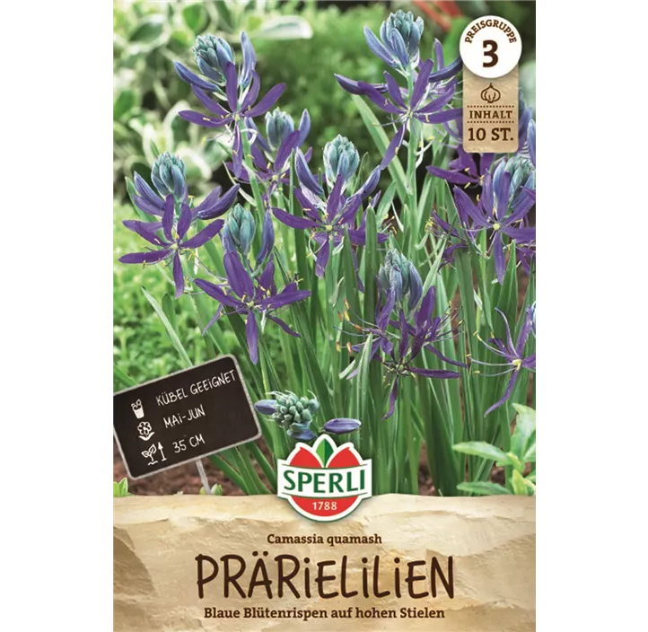 Essbare Prärielilie
