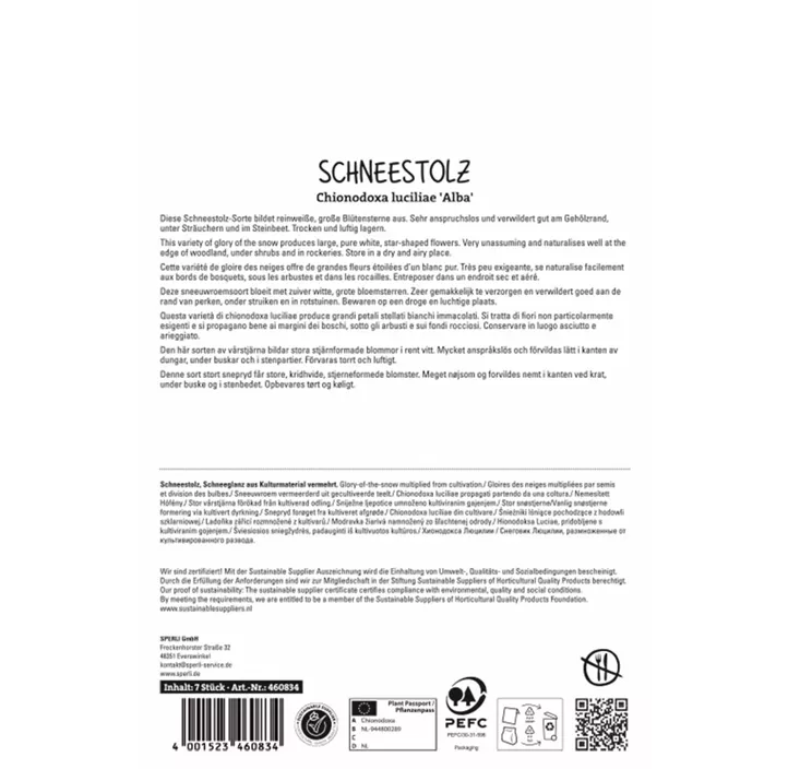 Schneeglanz 'Alba'
