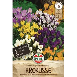 Crocus chrysanthus Mischung